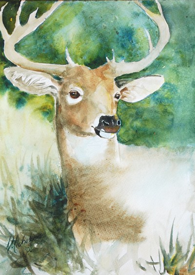 Deer painting in watercolor