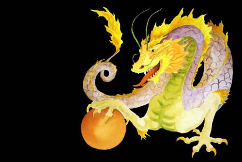Yellow Dragon logo
